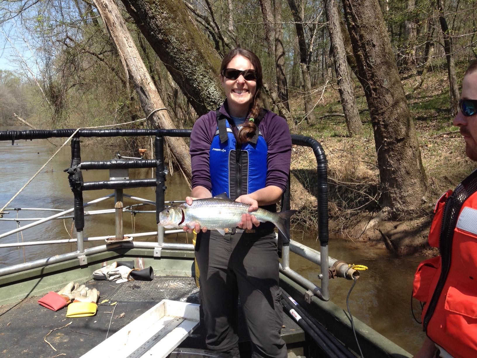 Melissa Dowland with an adult American shad
